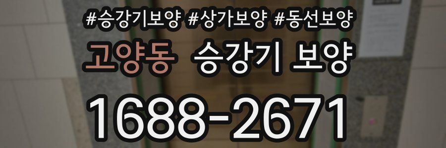 고양동 승강기 보양