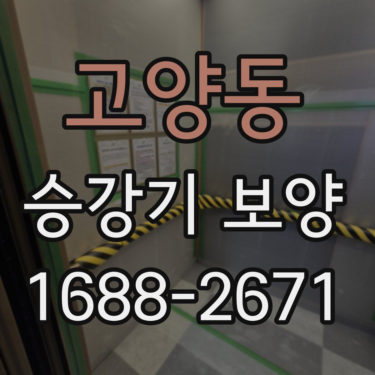 고양동 승강기 보양