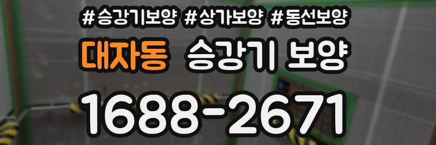 대자동 승강기 보양