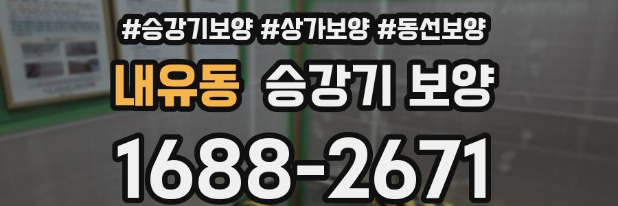 내유동 승강기 보양