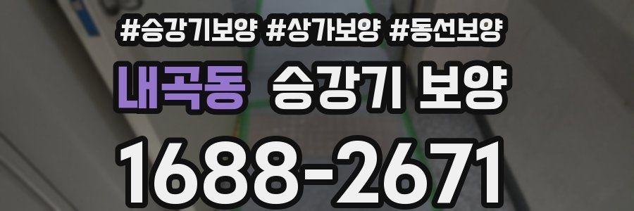 내곡동 승강기 보양
