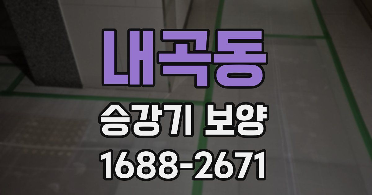 내곡동 승강기 보양