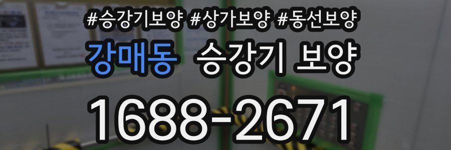 강매동 승강기 보양