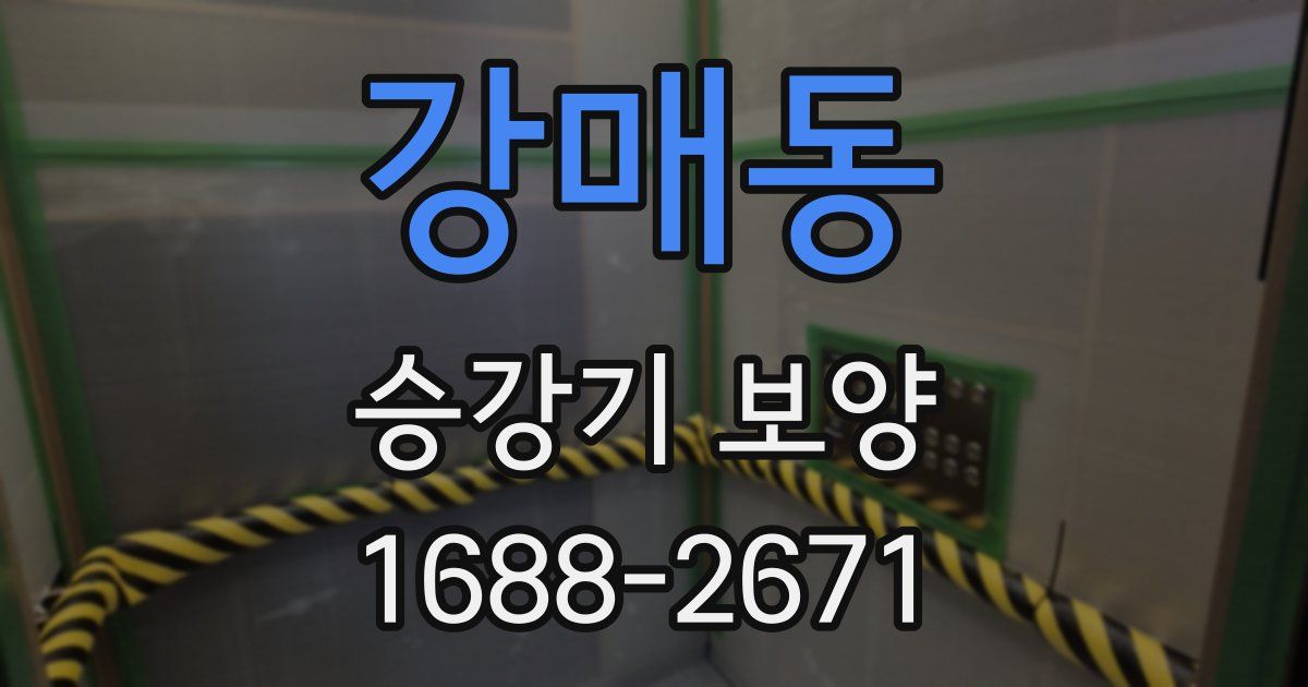 강매동 승강기 보양