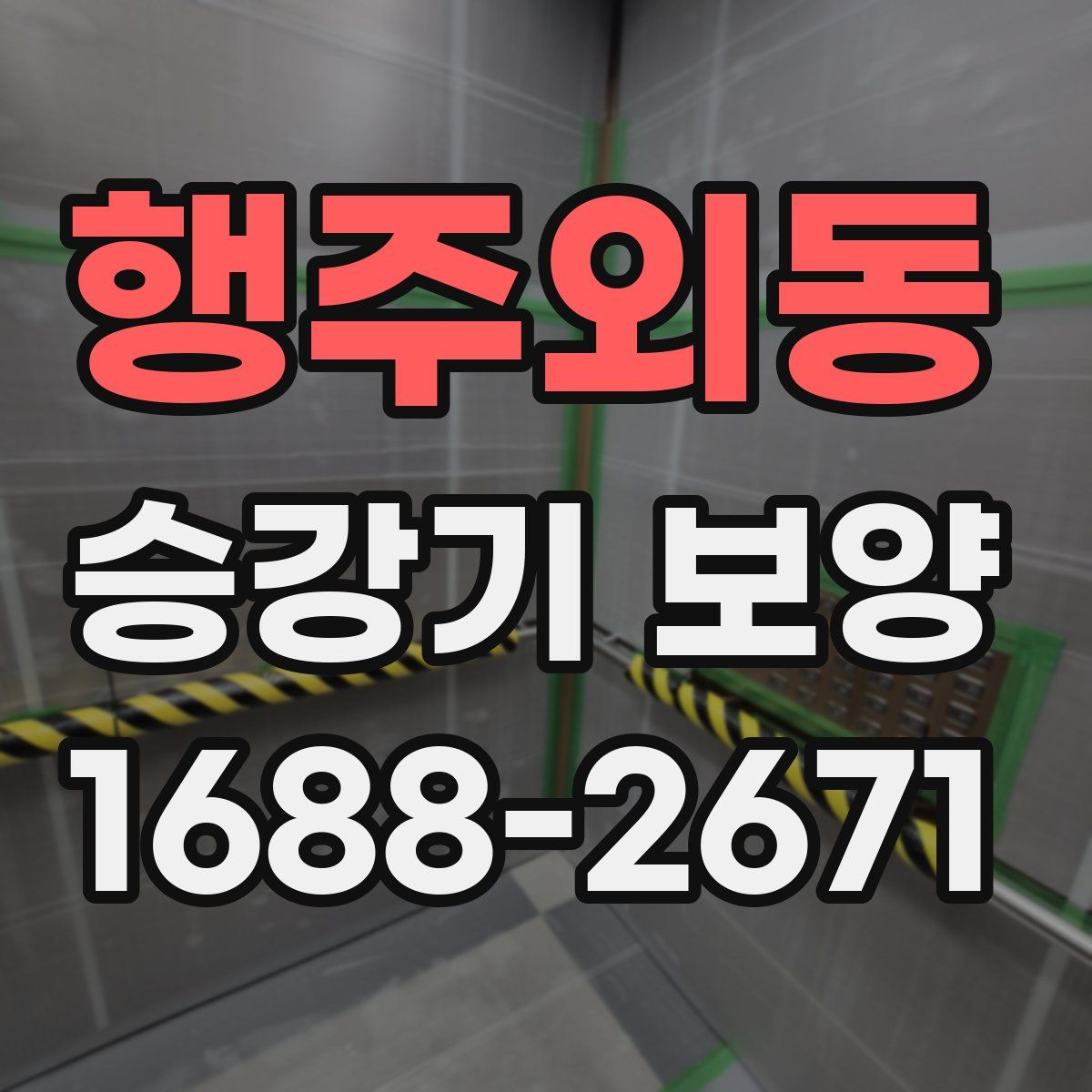 행주외동 승강기 보양