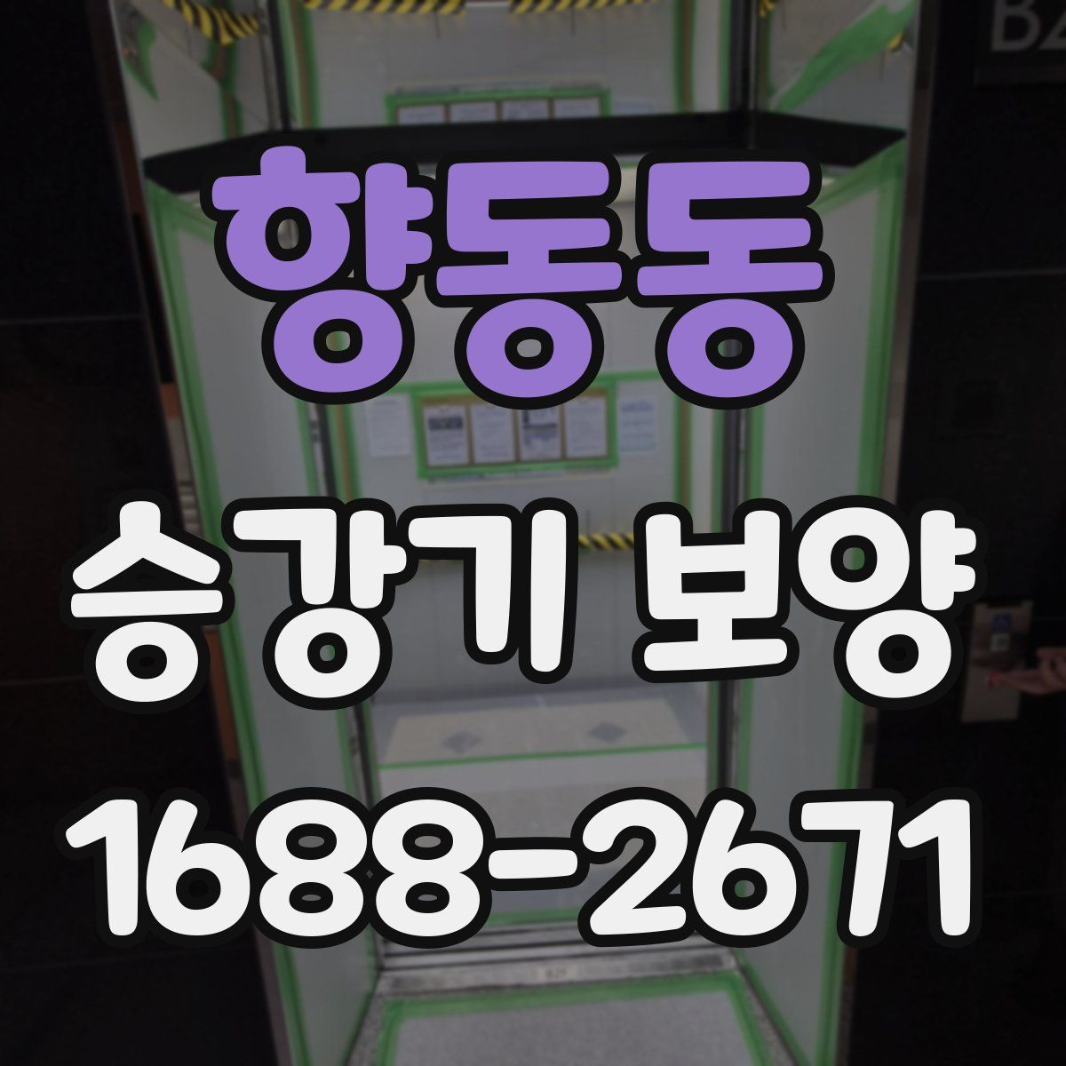 향동동 승강기 보양