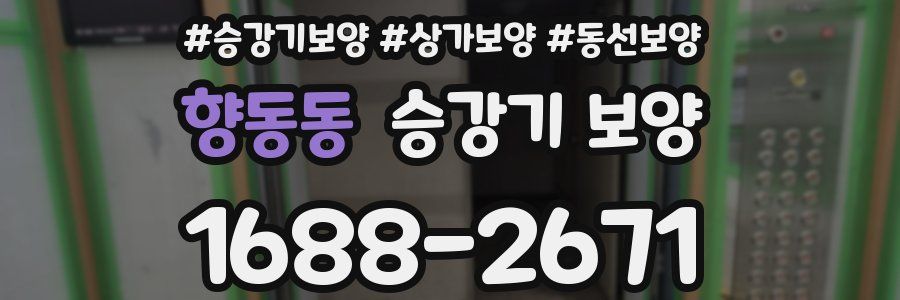 향동동 승강기 보양