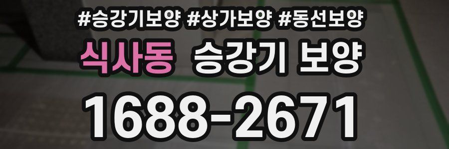 식사동 승강기 보양