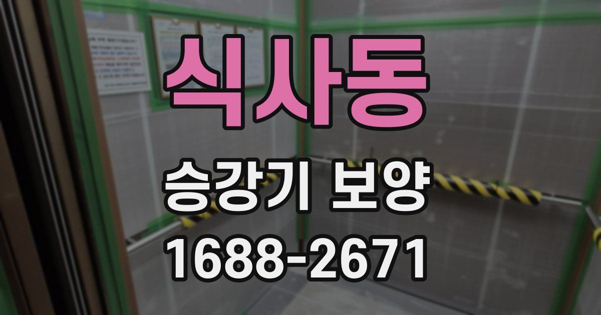 식사동 승강기 보양