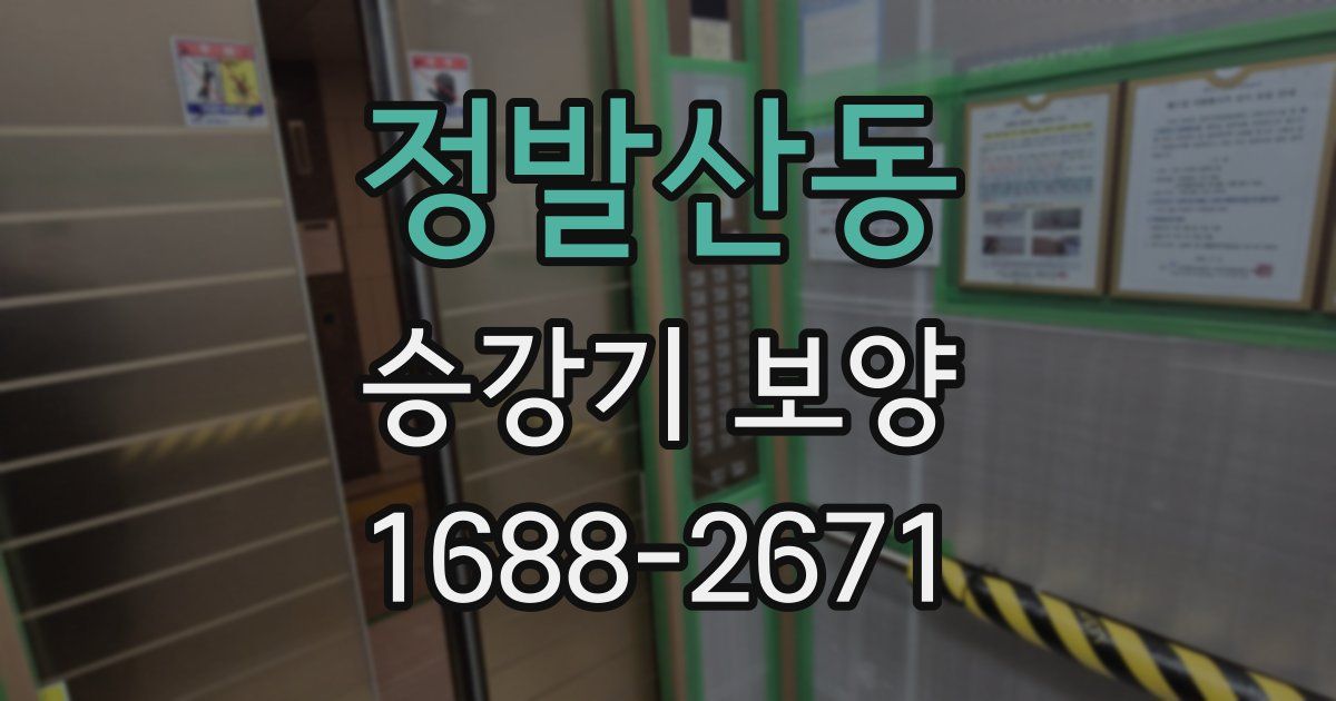정발산동 승강기 보양