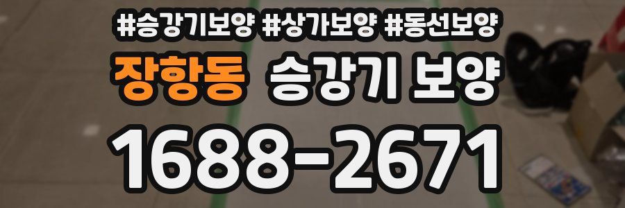 장항동 승강기 보양