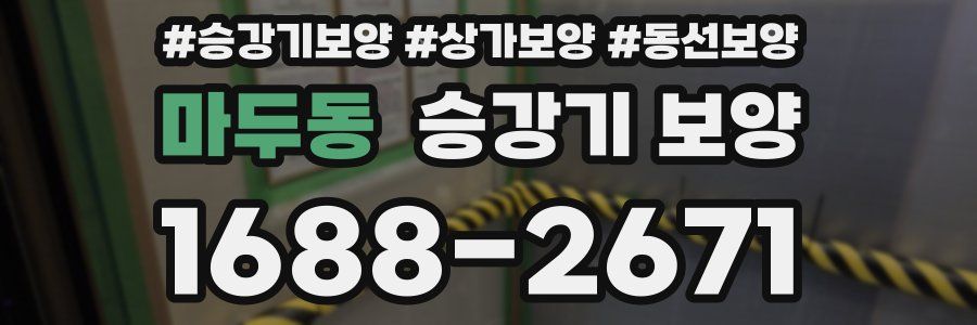 마두동 승강기 보양