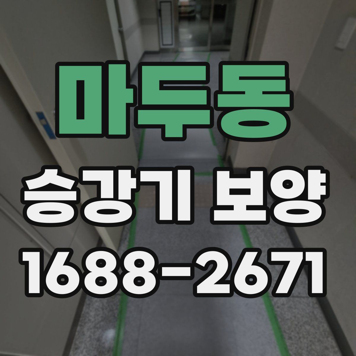 마두동 승강기 보양