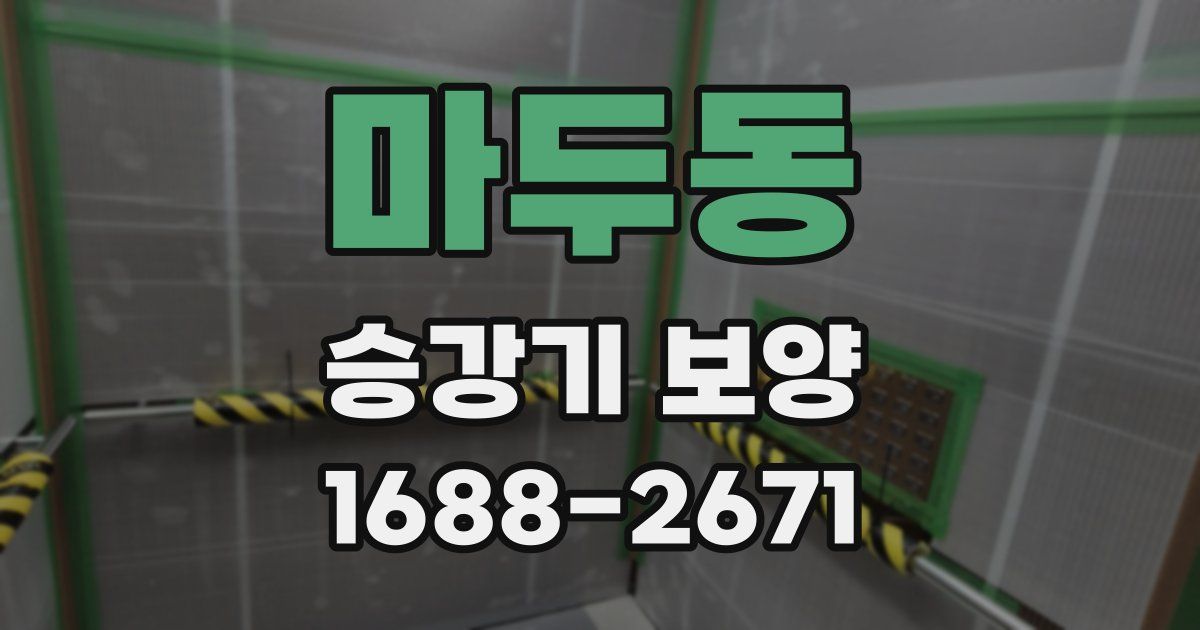 마두동 승강기 보양