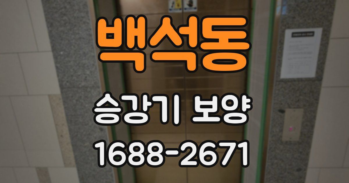 백석동 승강기 보양