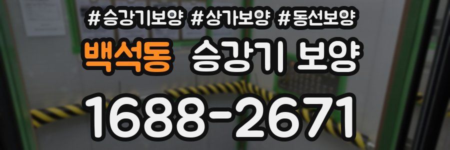 백석동 승강기 보양
