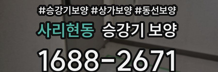 사리현동 승강기 보양