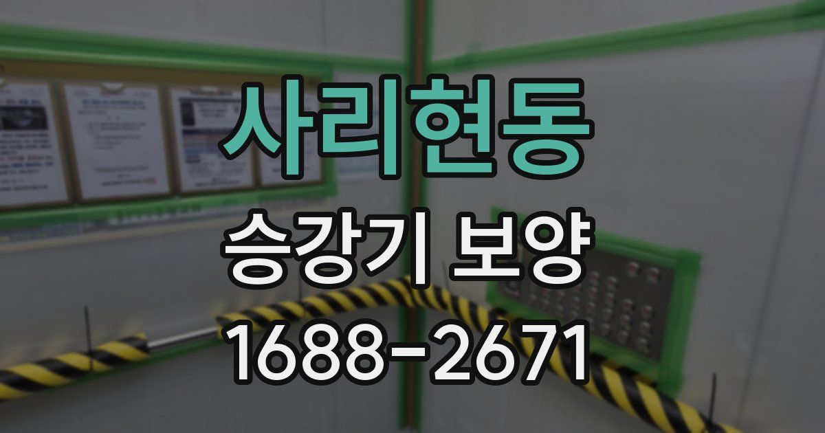 사리현동 승강기 보양