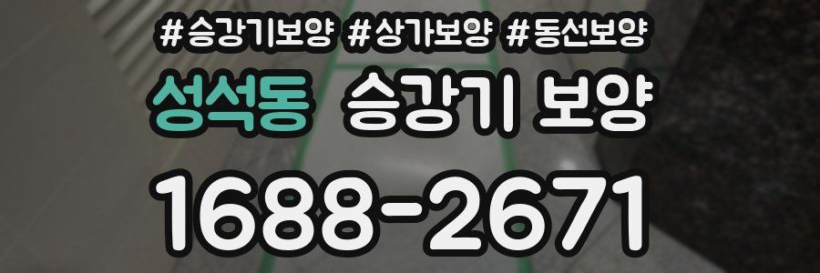 성석동 승강기 보양