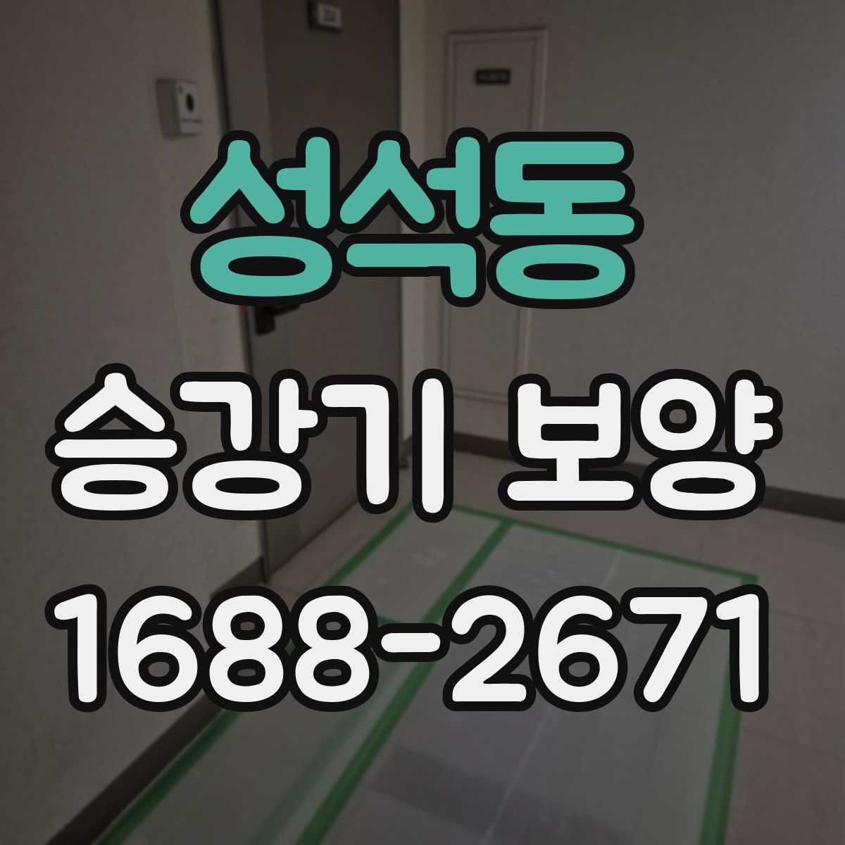 성석동 승강기 보양