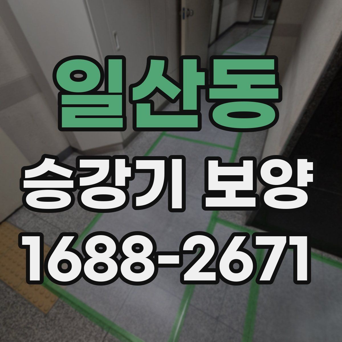 일산동 승강기 보양 작업 전후 사진으로 보는 점검 포인트
