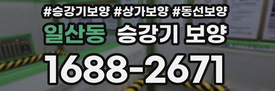 일산동 승강기 보양