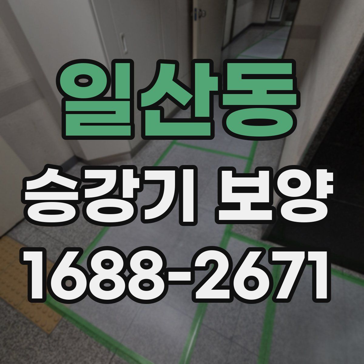 일산동 승강기 보양