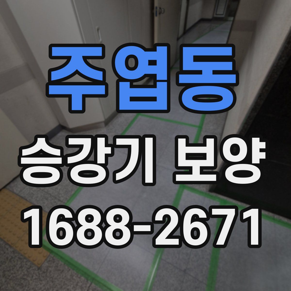 주엽동 승강기 보양