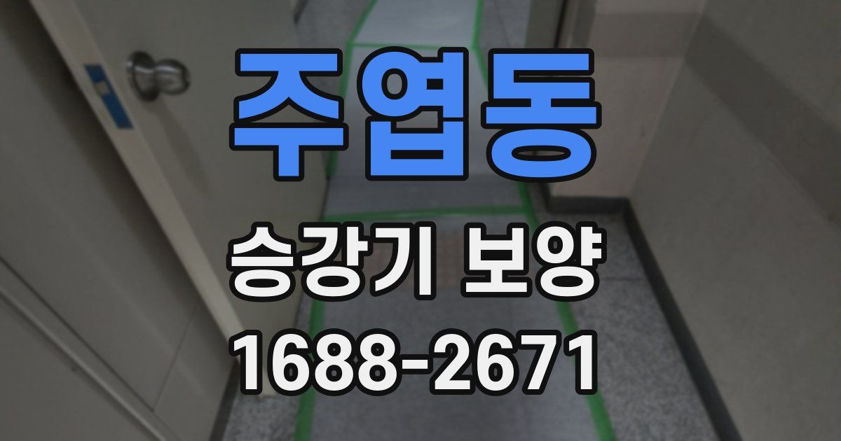 주엽동 승강기 보양