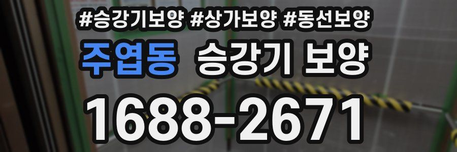 주엽동 승강기 보양