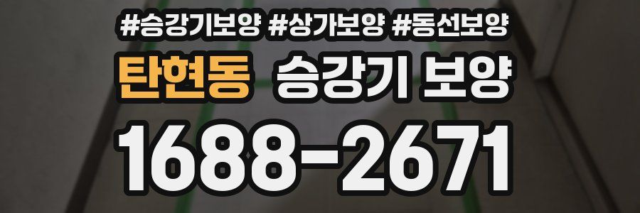 탄현동 승강기 보양