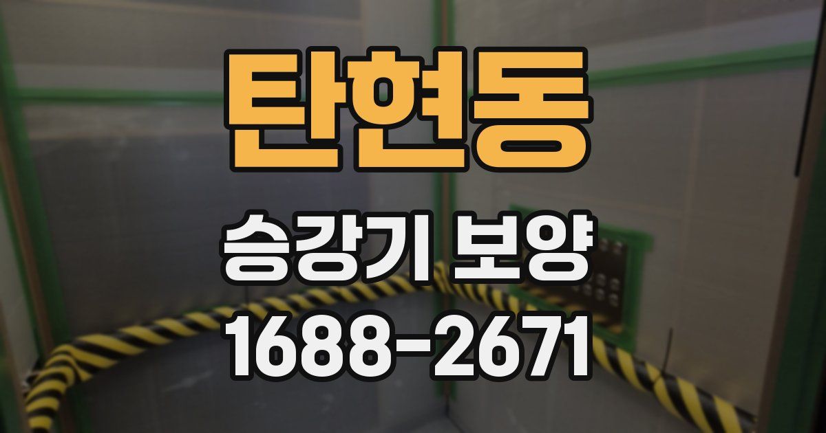 탄현동 승강기 보양