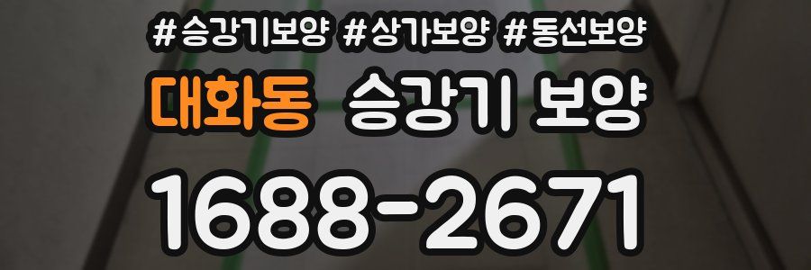 대화동 승강기 보양
