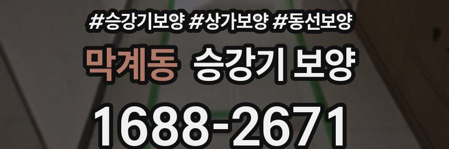 막계동 승강기 보양