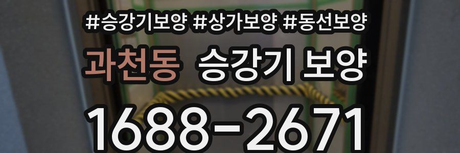 과천동 승강기 보양