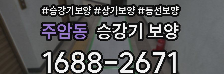 주암동 승강기 보양