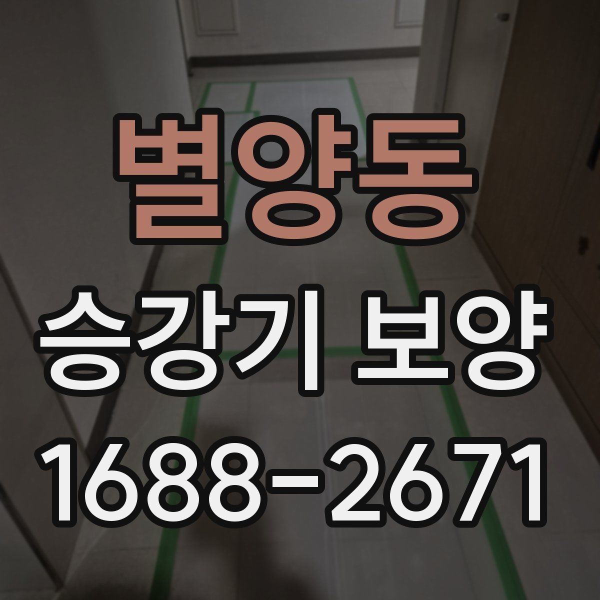 별양동 승강기 보양 자재 교체 시점은 언제가 좋을까
