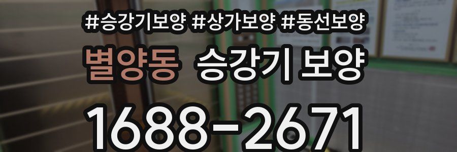 별양동 승강기 보양