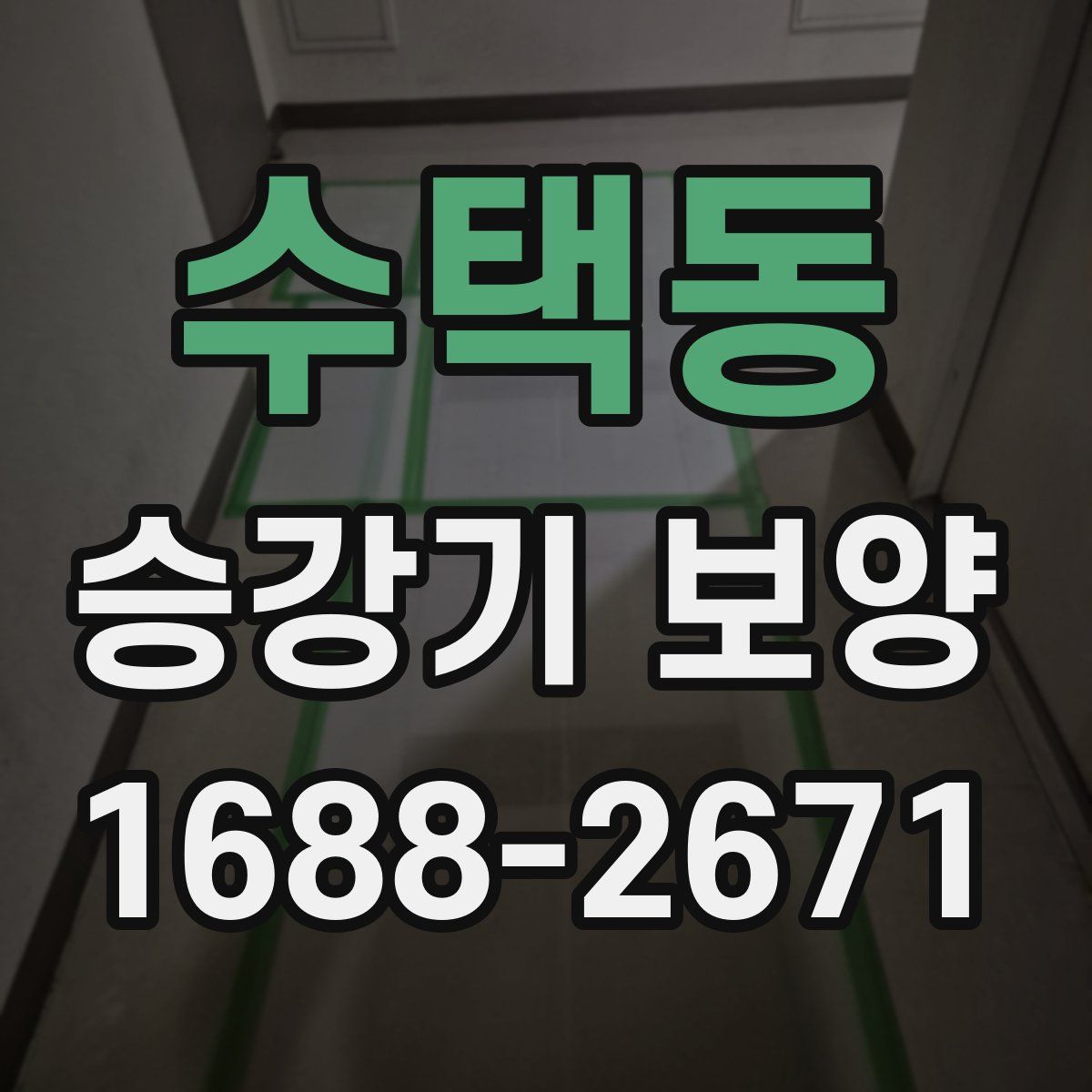 수택동 승강기 보양