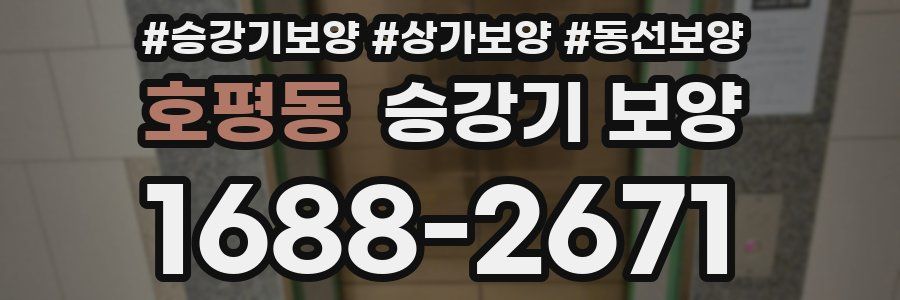 호평동 승강기 보양