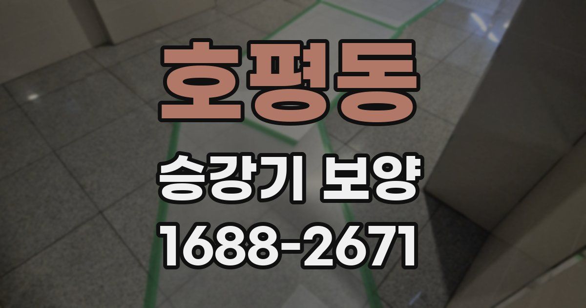 호평동 승강기 보양
