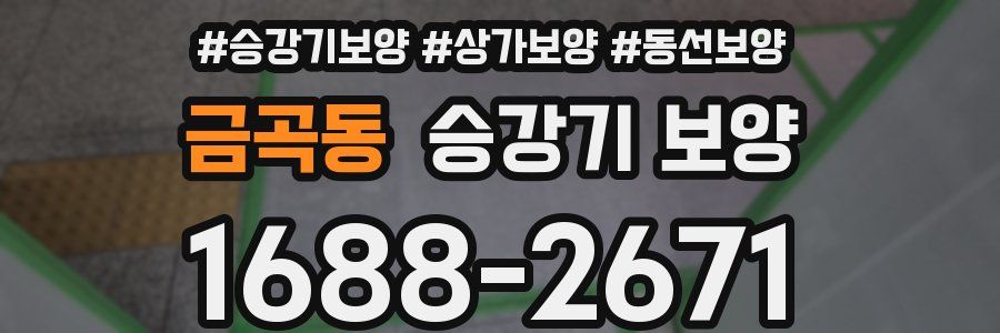 금곡동 승강기 보양
