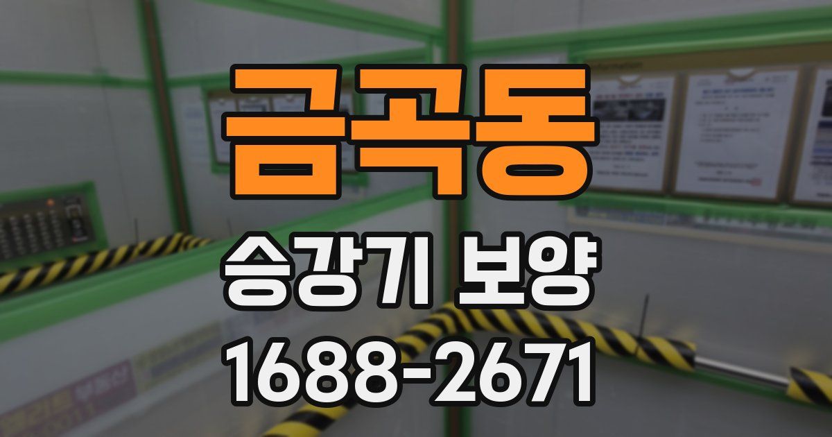 금곡동 승강기 보양