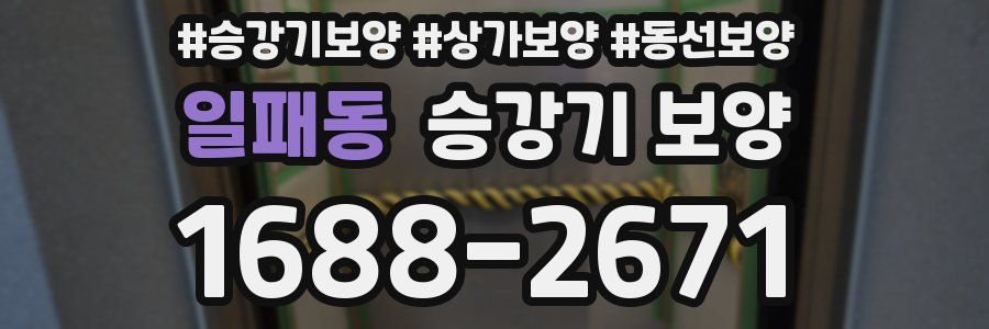 일패동 승강기 보양