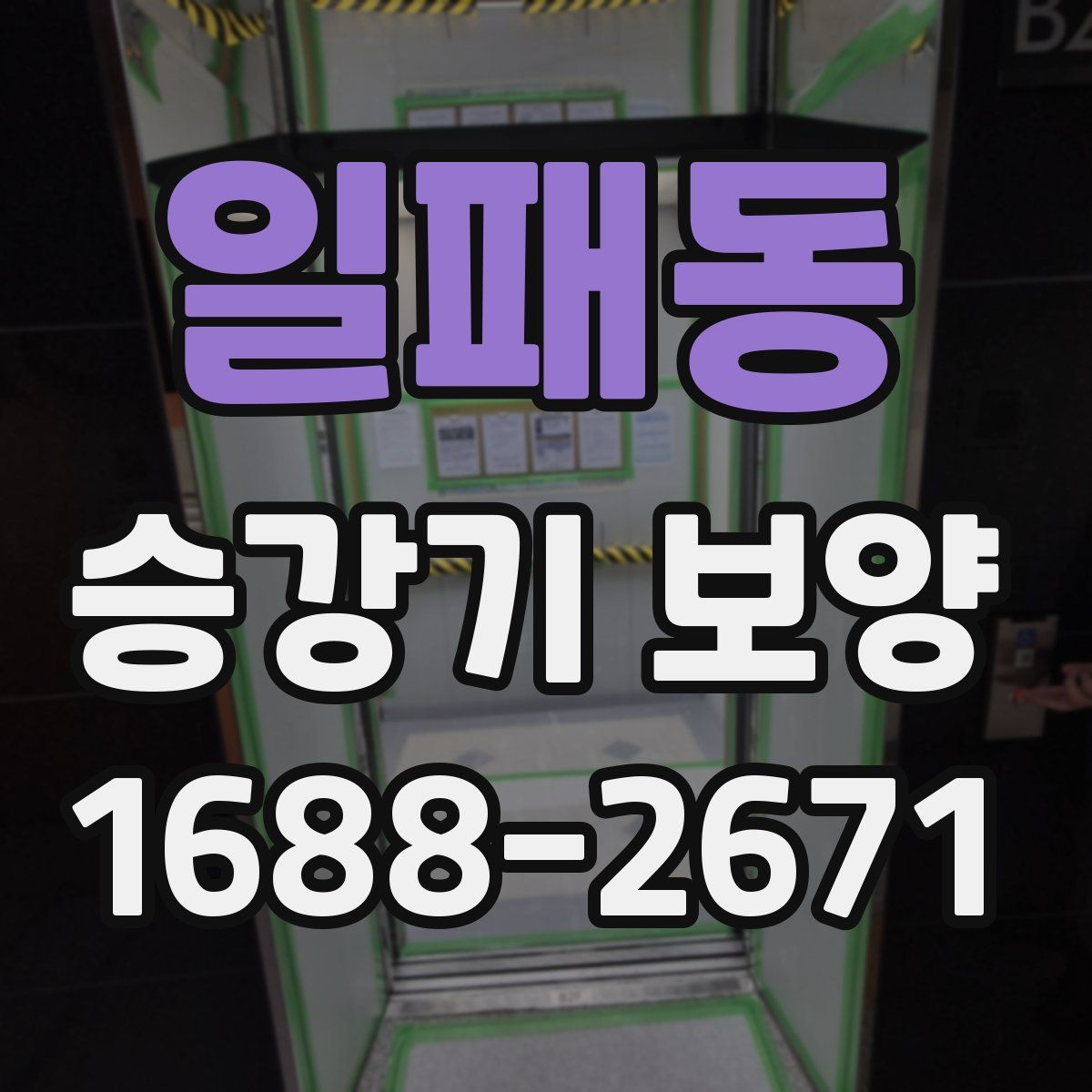 일패동 승강기 보양