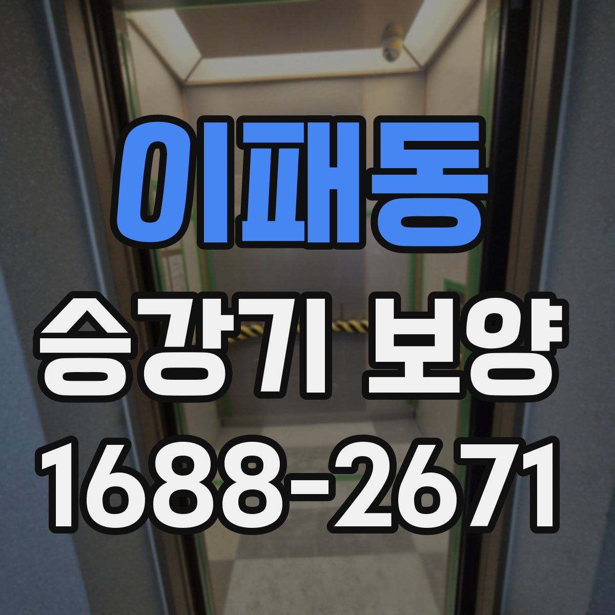 이패동 승강기 보양