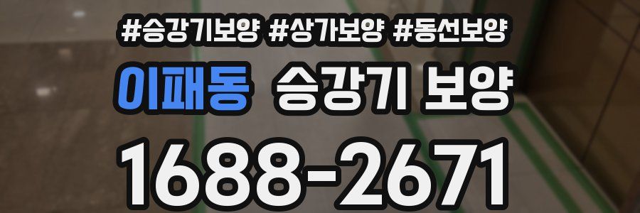 이패동 승강기 보양