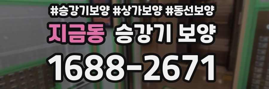 지금동 승강기 보양