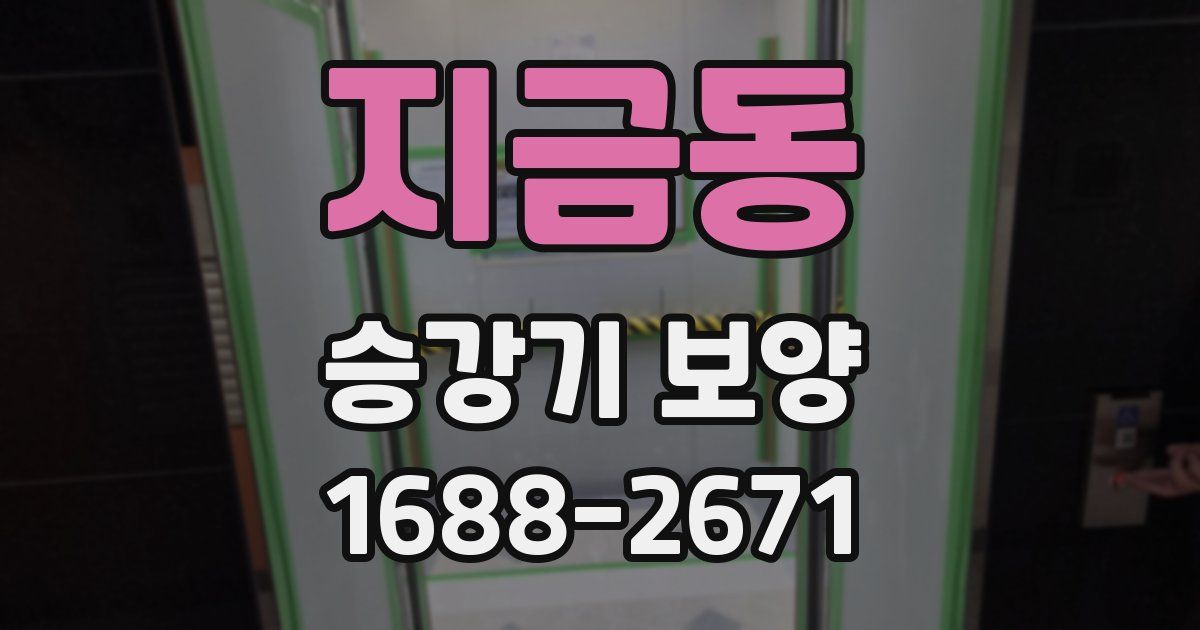 지금동 승강기 보양