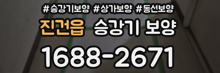 진건읍 승강기 보양